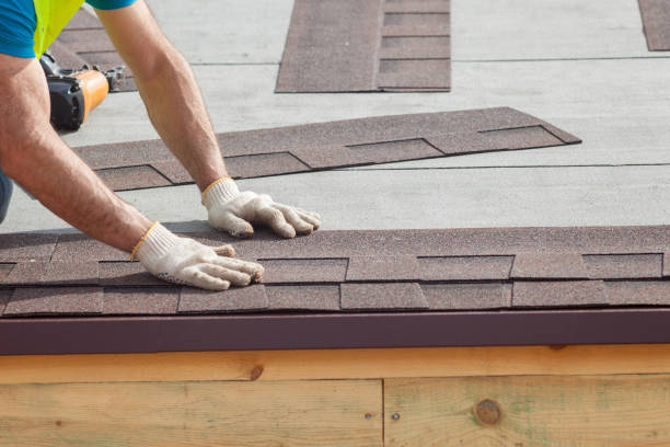 Best Roof Maintenance  in Gonzalez, FL