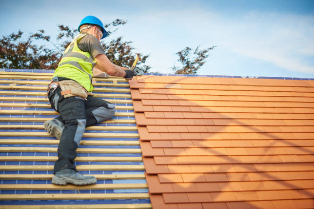 Gonzalez, FL  Roofing repair and installation Company